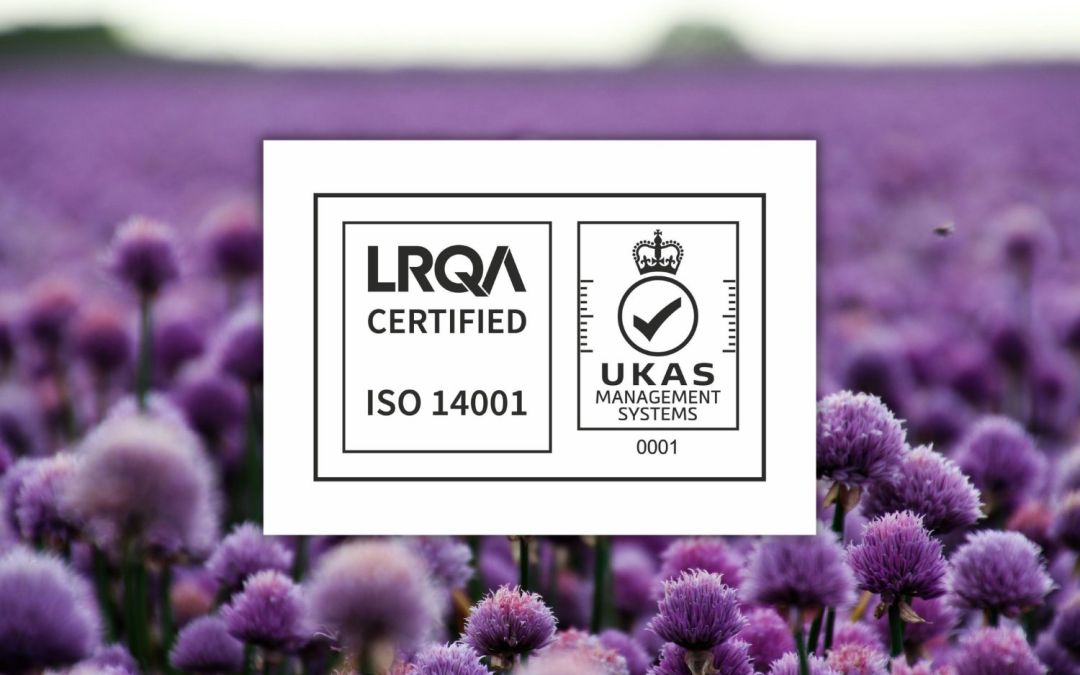 Re-certification for ISO 14001
